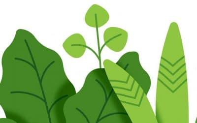 Paper Companies Invest in Doing Good