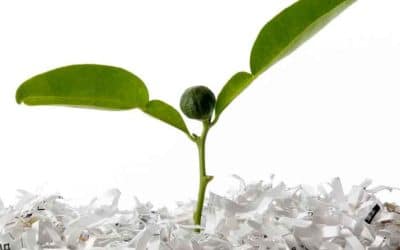 Specialty Techniques When You Need to Be “Extra”