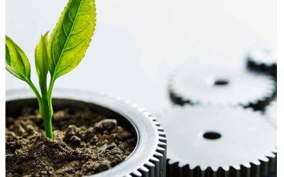 The SGP Certification and Why It Matters