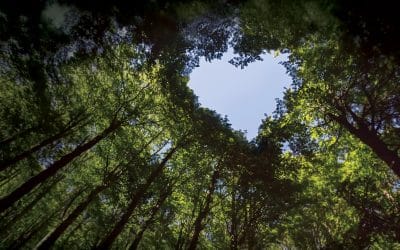 How To Practice Earth-Friendly Printing