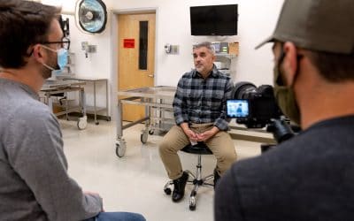 Do you have a lot of print collateral?