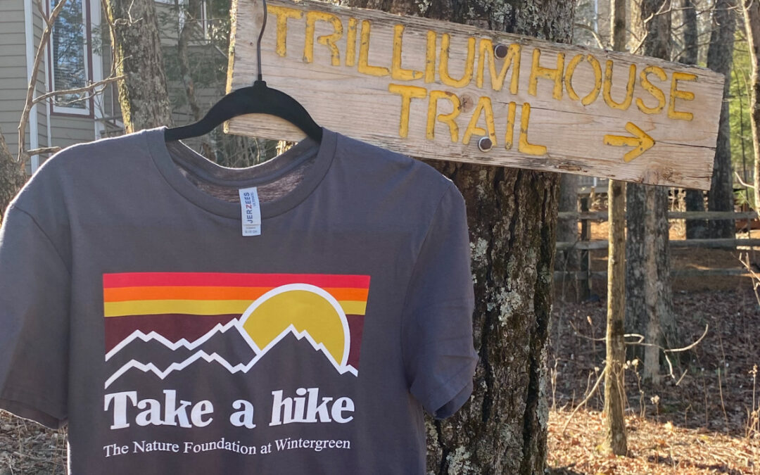 How Custom Apparel Printing Helps Businesses Stay Visible